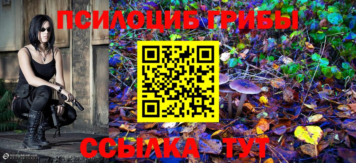 Галлюциногенные грибы GOLDEN TEACHER Камень-на-Оби
