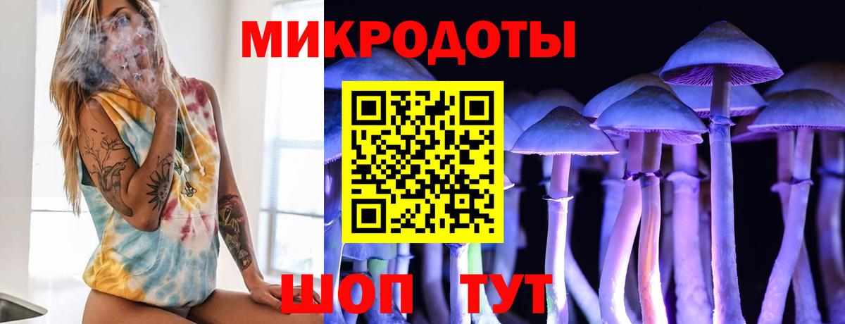 Камень-на-Оби  Галлюциногенные грибы GOLDEN TEACHER  Вход с VPN 